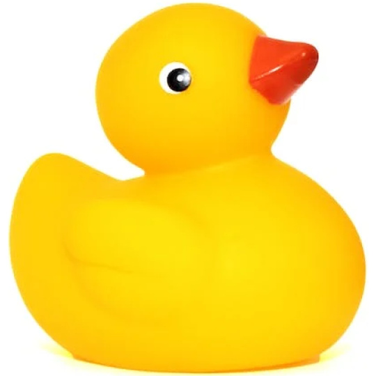 Kačička pre programátorov